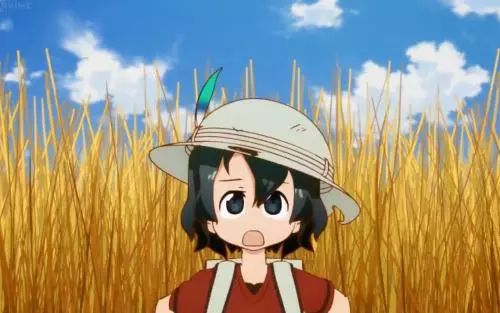 日本漫迷票选最喜欢的短发女生”,小哀上榜