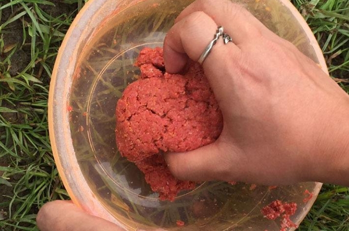 夏季板鲫用什么饵最好,冬季钓板鲫最好用什么饵