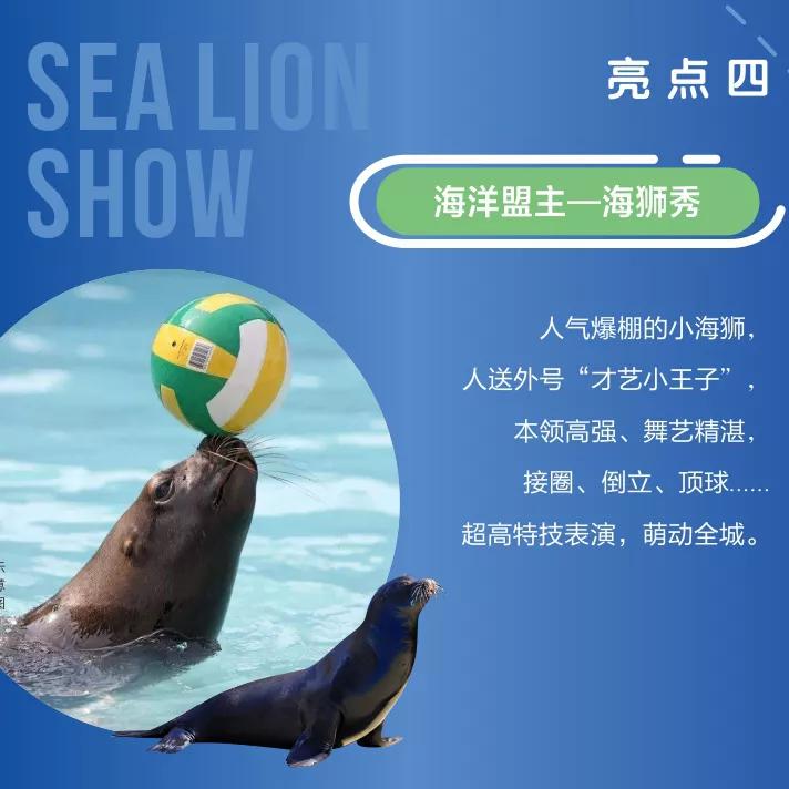 你有一个本周末蛋糕DIY名额待领取，用手作的甜蜜为爱告白吧