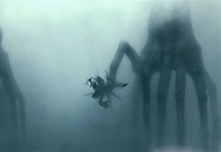 章鱼为什么最有可能是外星生物 (章鱼为什么是最接近外星人的生物)