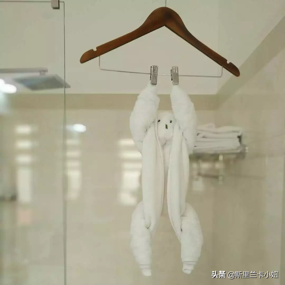 科伦坡淡山茱萸粉ins风酒店：清新艺术气质流行色不仅穿身上