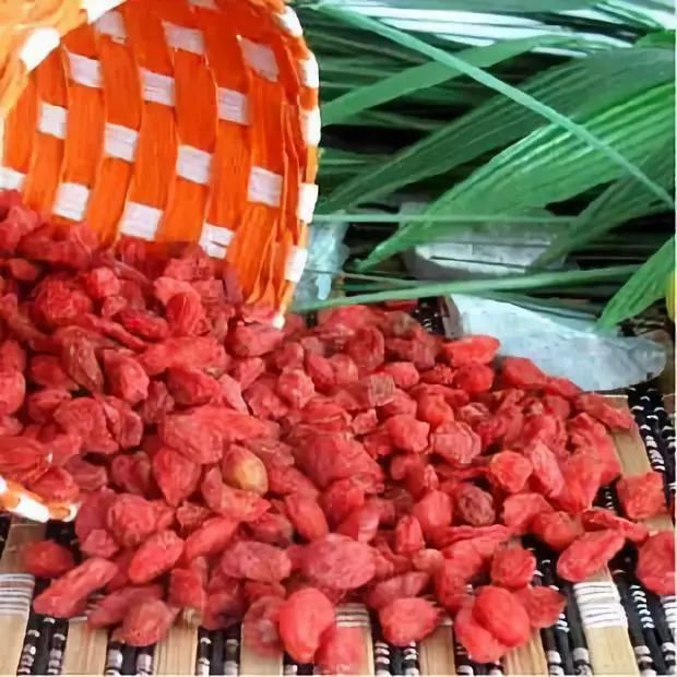 全新疆著名的特产,盘点十大新疆的特产