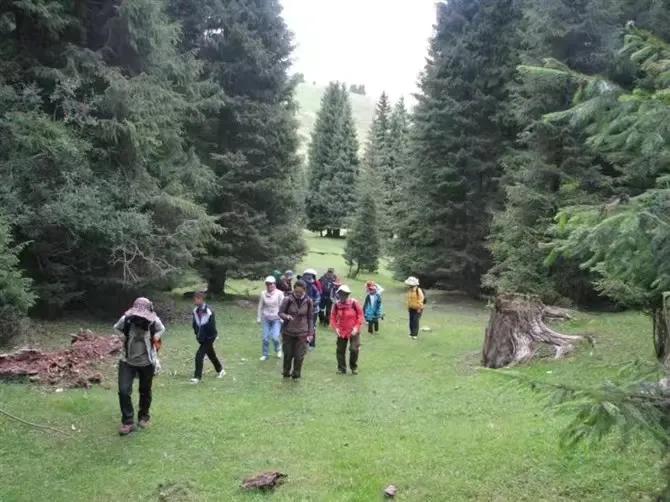 我眼中的历史完整视频,我眼中的历史是什么