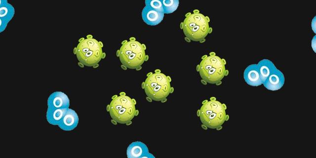 快速去除家中宠物臭味,下水道反味除臭杀菌