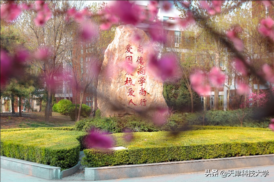 青年请留步｜五四青年节，一起来青春建功