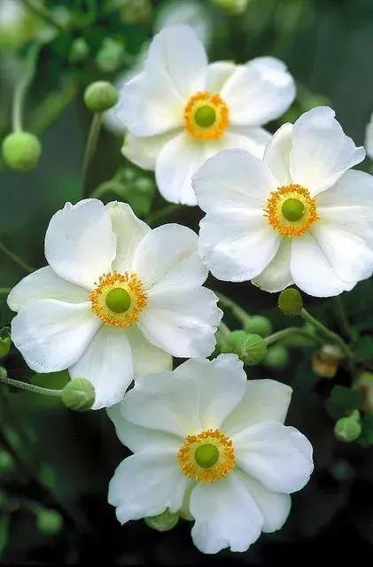 涨姿势为什么叫涨知识,涨姿势怎么解释