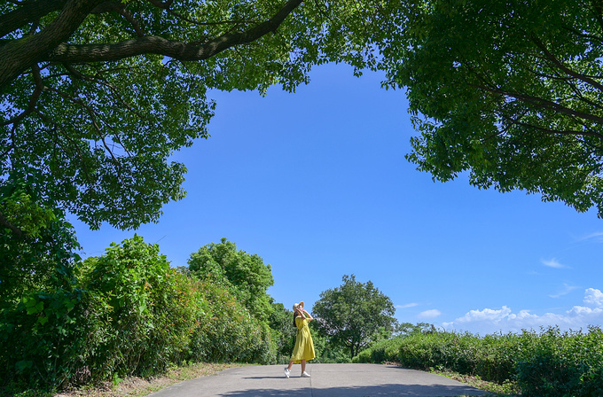 中秋嘉兴玩的地方推荐,八月嘉兴