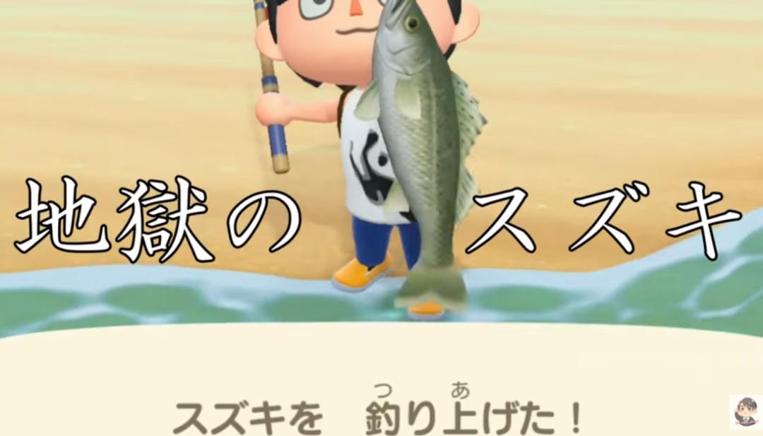 pdd在日本的地位,pdd人在日本