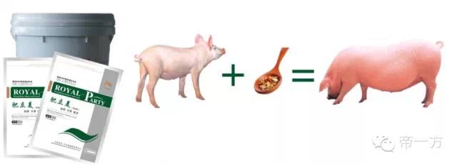 猪催肥产品,催肥剂增肥