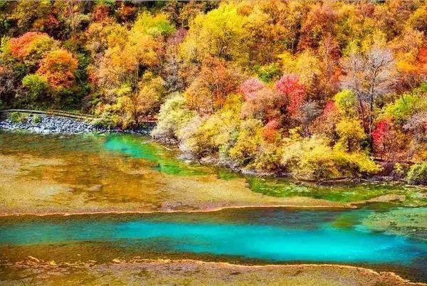 九寨沟旅游神奇的九寨,九寨沟风景不输瑞士