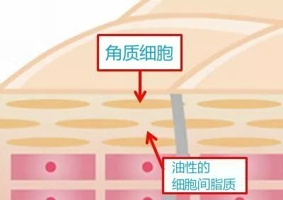 只听说水逆护肤界偏偏还玩“乳逆”