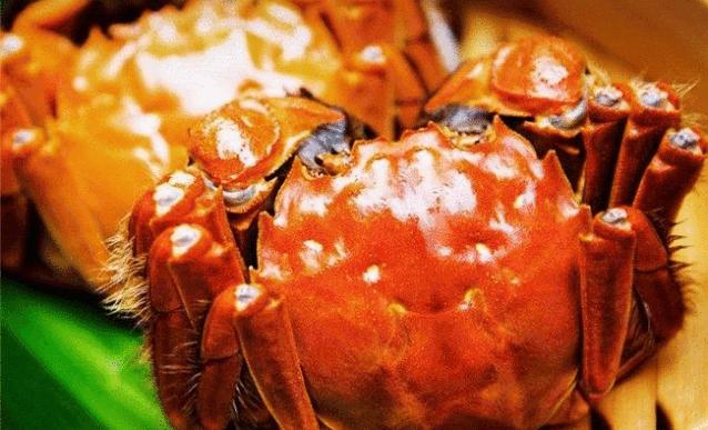 垄上优选战略携手圣果酒庄，就喜欢这种美酒佳肴纷至沓来的感觉...