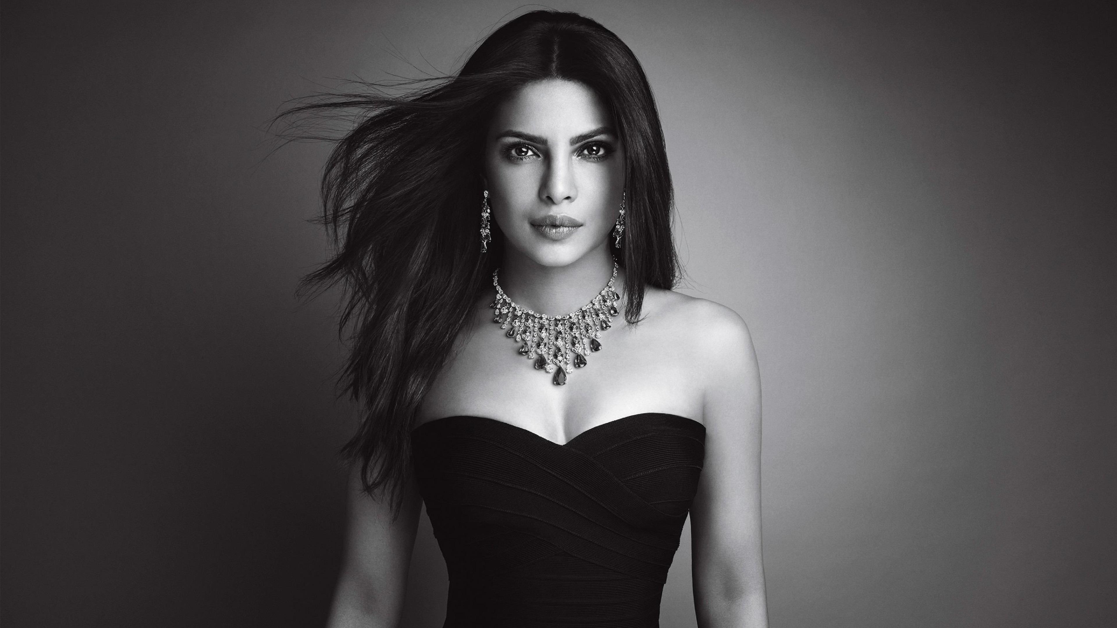 4k动物正脸壁纸高清版霸气,苹果12壁纸超清4k全屏动物