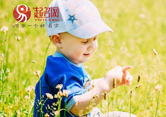 楚辞里儒雅大气的三字男孩名字,男孩取名字吉祥大气