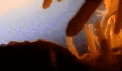 每一个都那么拼命前进，我们还好意思去选择性别吗？