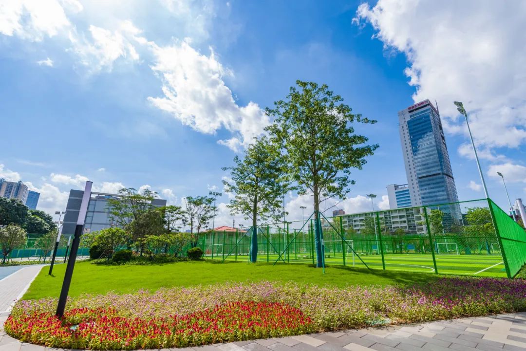 桂城网红打卡公园,佛山南海桂城霏梵印象公园