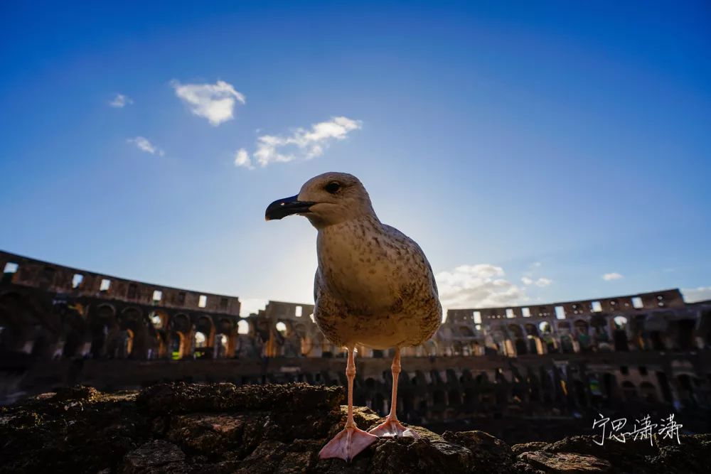告别平谈的照片吧！17招让你的照片有大片感