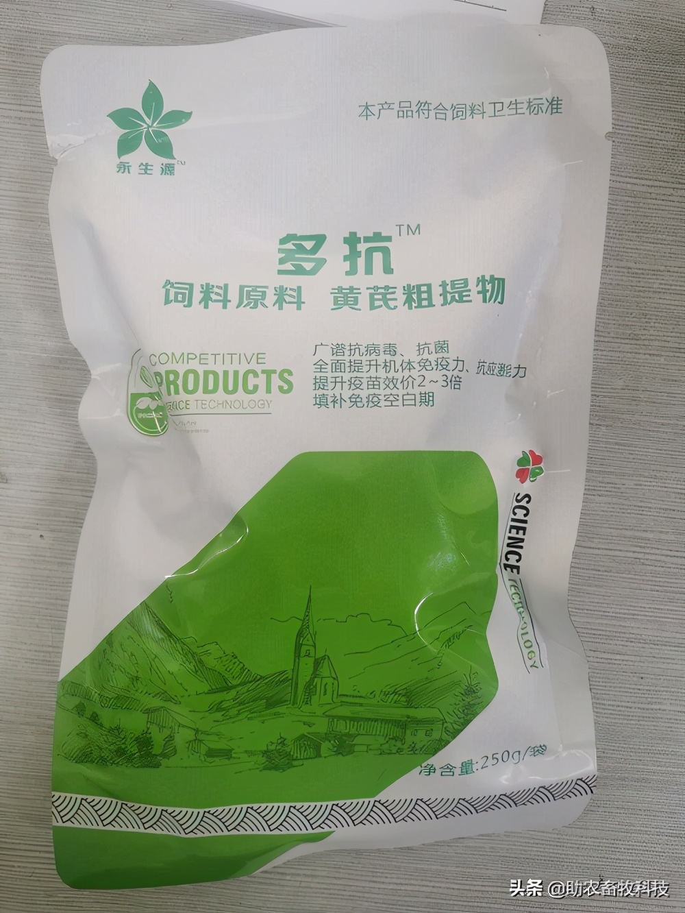 鹅肠道病的症状与治疗,快速判断鹅病的四种方法