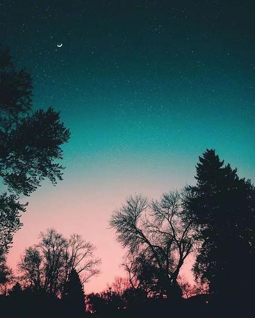 白发父母，送走富有的女儿，然后一贫如洗？