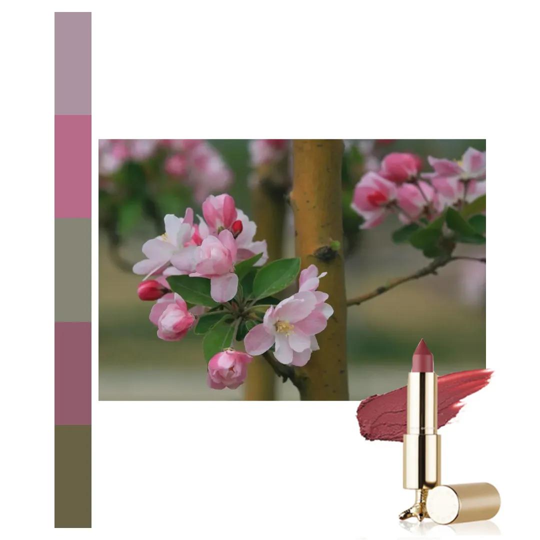 鐩存挱閭兏娌冲寳宸ョ▼澶у,娌冲寳宸ョ▼澶у缇庡