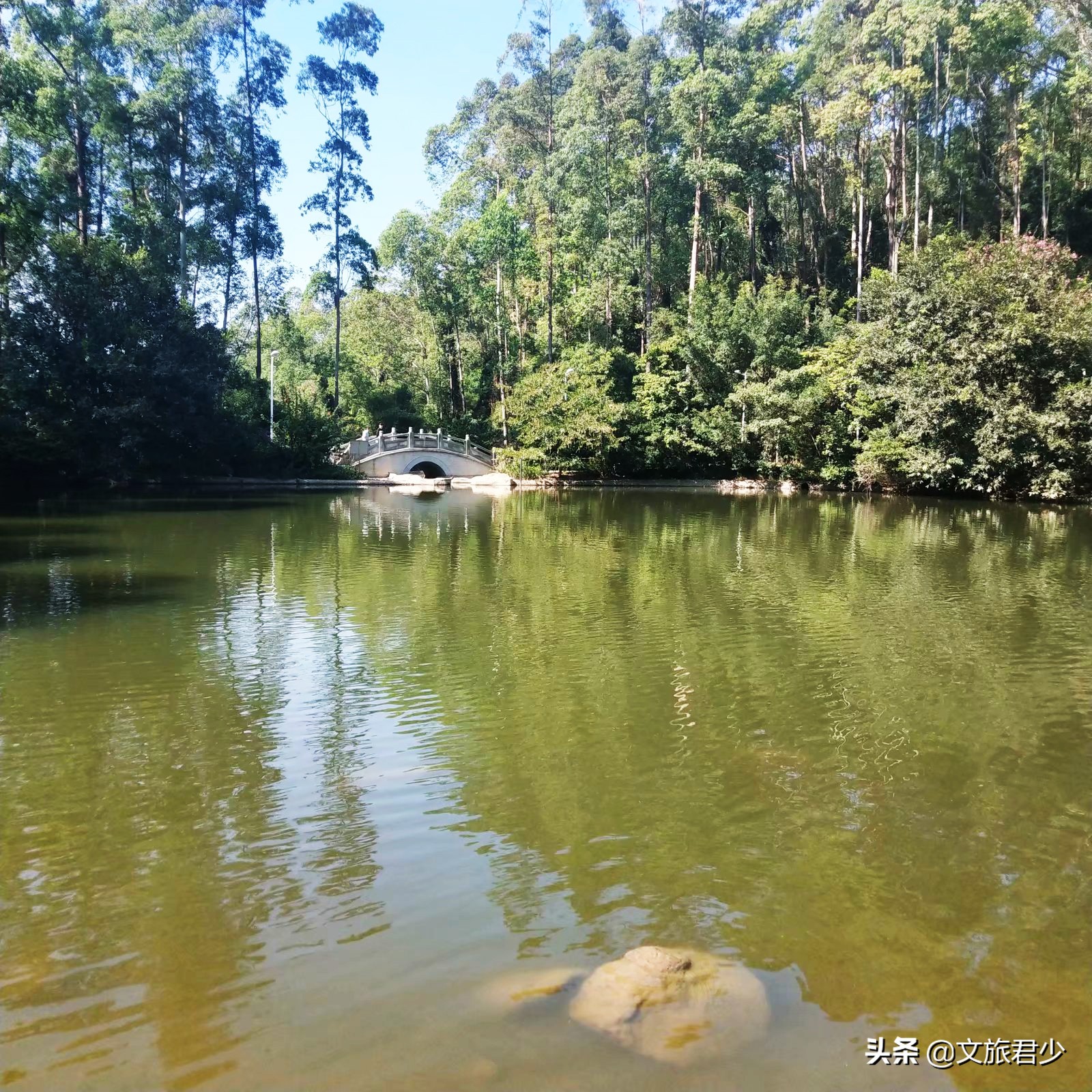 水濂山森林公园景点,东莞水濂山森林公园景点介绍