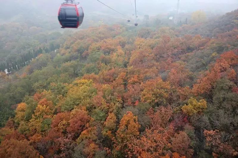 郑州漂亮的秋色风景,郑州的这些湖畔藏着最美的秋色