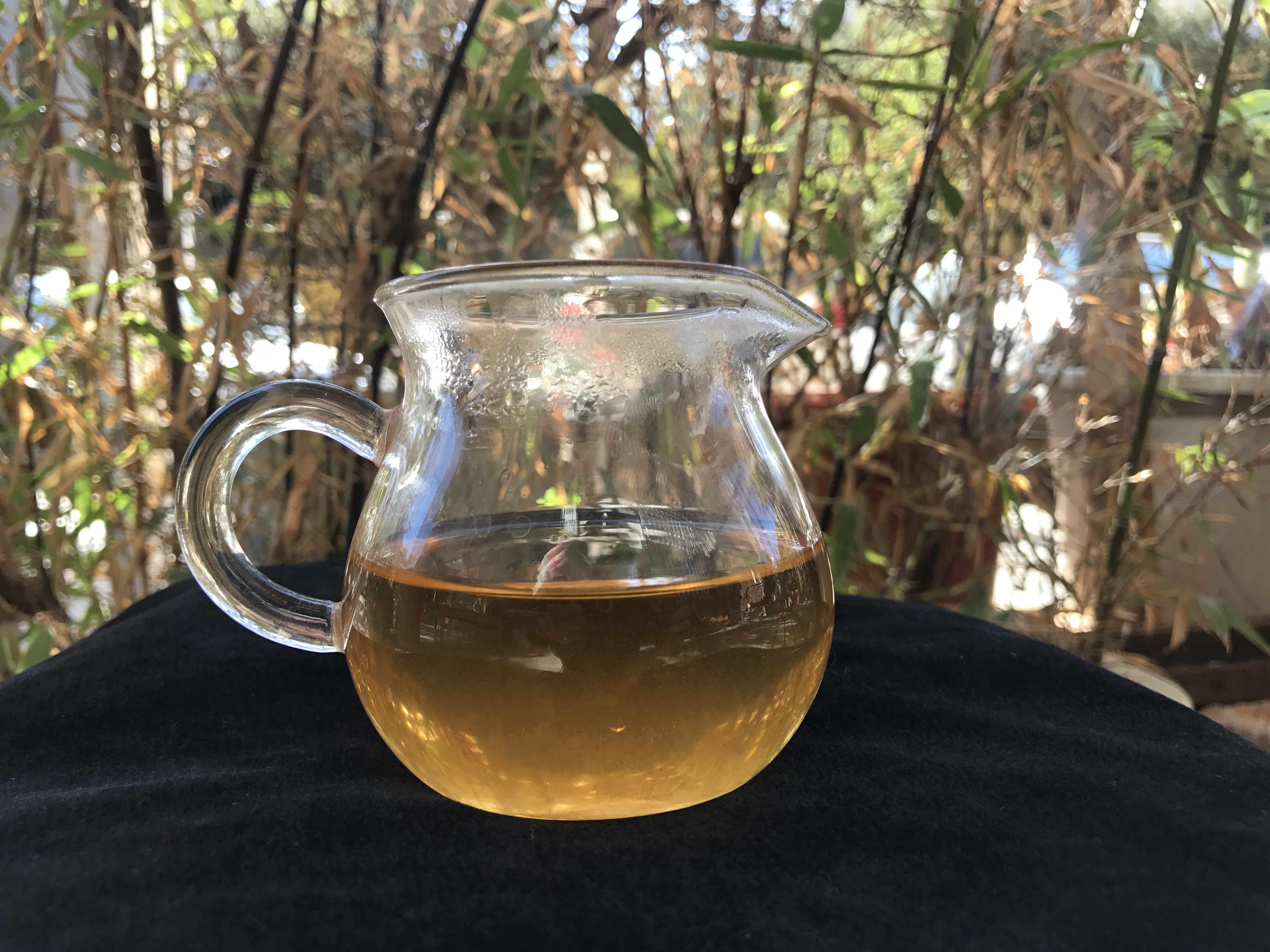 老徐鉴茶第二十一期,老徐鉴茶316期视频