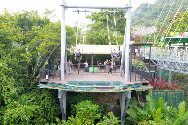 海南呀诺达热带雨林文化旅,三亚诺达雨林旅游攻略