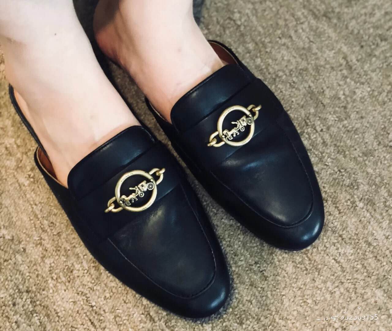 怎么看待蔻驰辱华事件,蔻驰辱华事件始末