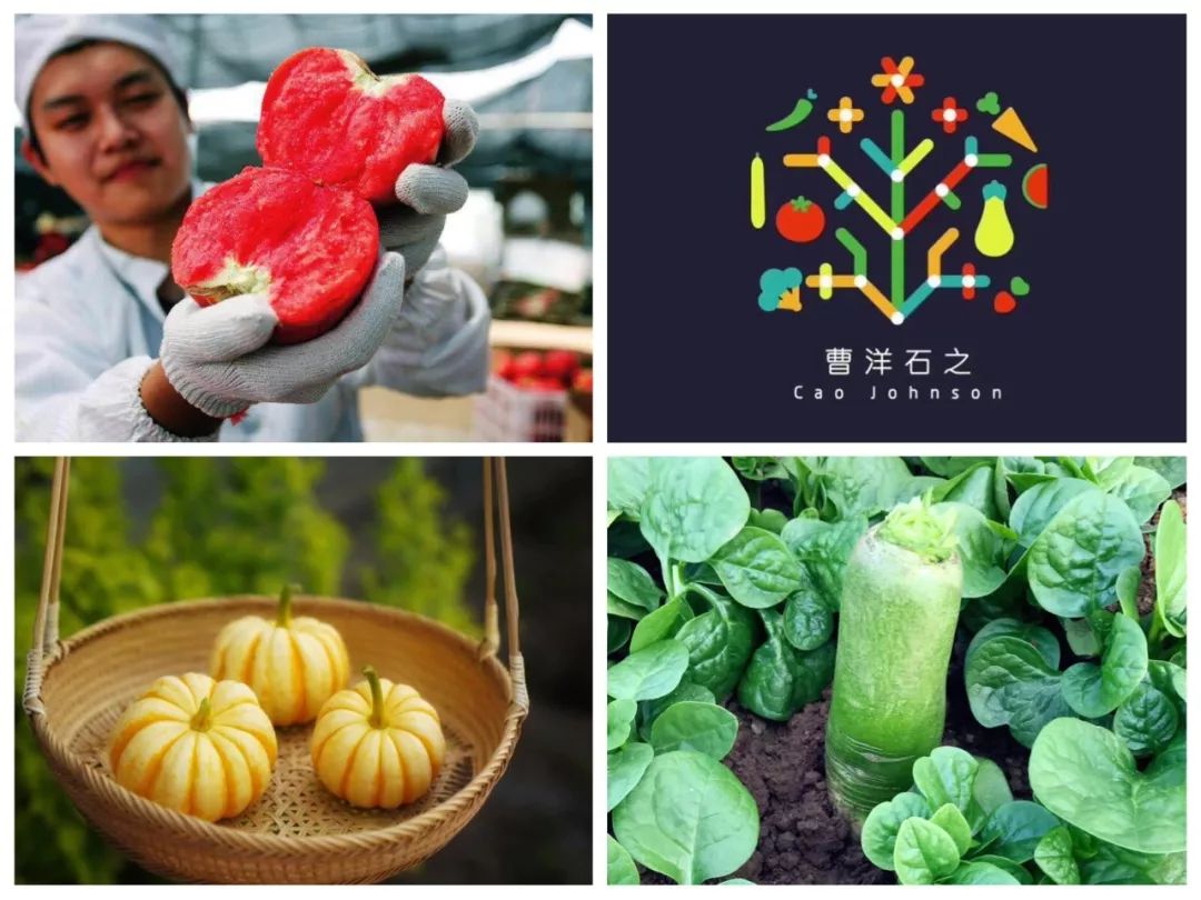 看了这40位生活美学家的创造，心顿时亮了！西安人年度最佳收藏贴