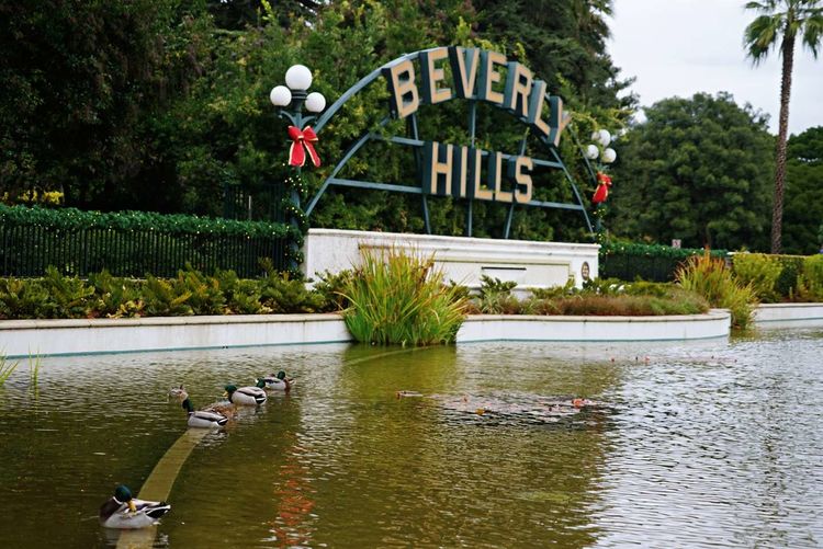 美国德州西部自由行,美国西海岸可以自由航行么