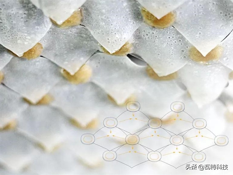 服装黑科技功能面料,美体塑形衣设计