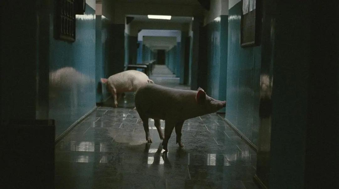 列夫朗道解说,列夫朗道哪部最好看