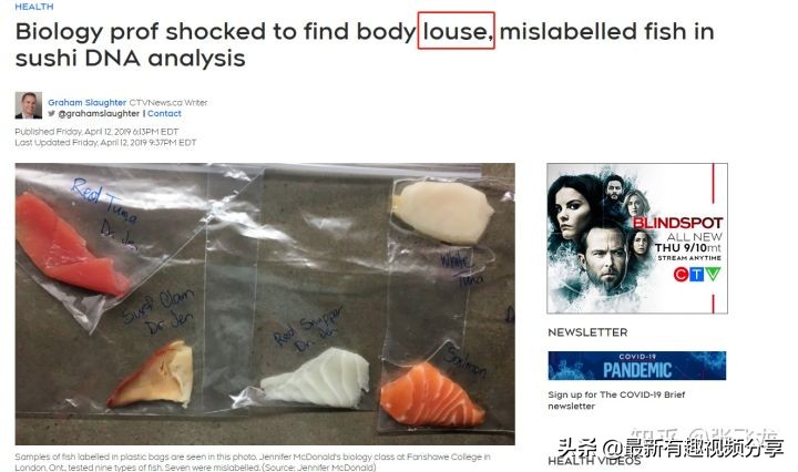 挪威三文鱼养殖环境恶劣纪录片,挪威三文鱼养殖环境恶劣新闻