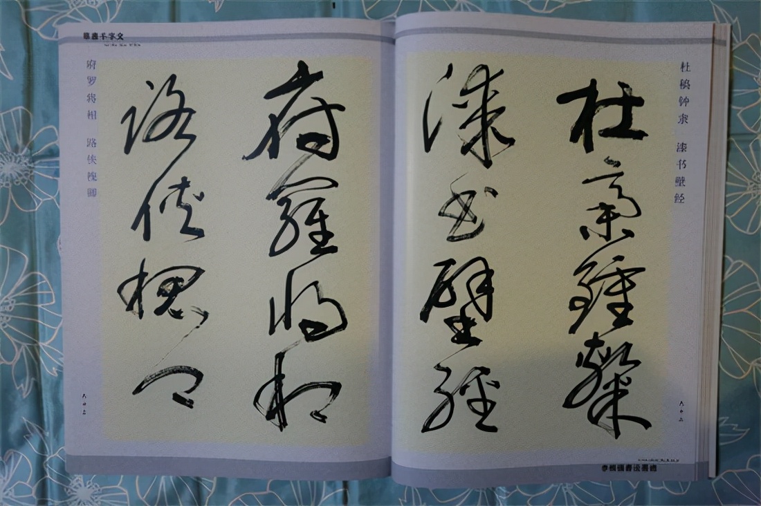 草书千字文真迹,书法千字文作品欣赏启功先生