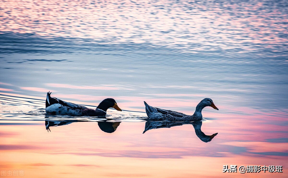 拍摄日落的技巧有哪些方法,拍摄日落有什么技巧