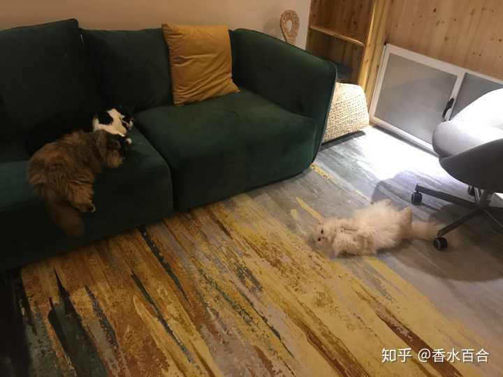 买了高层的人怎么样了,买了顶楼的房子后悔了吗