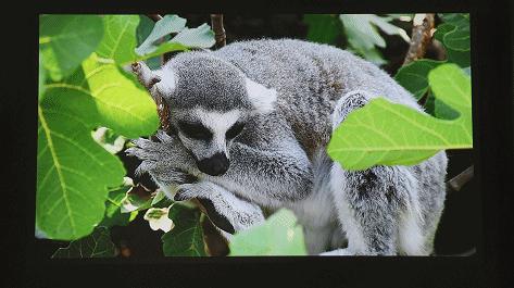 联想t500投影仪最大可以投多少寸,联想t500投影仪评测