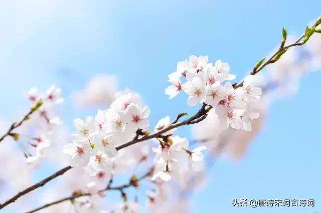 颠覆认知的古诗,颠覆认知脑洞大开的语句