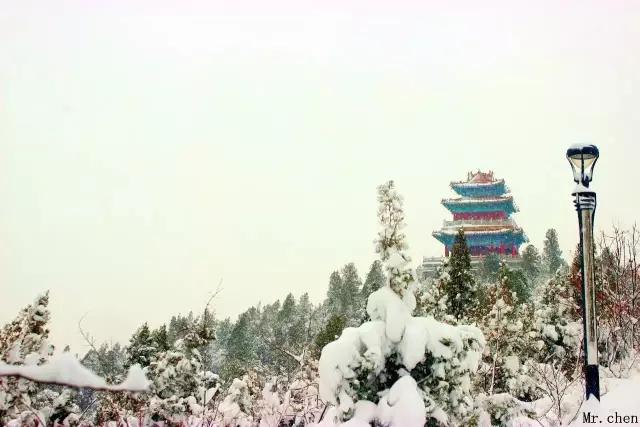 金乡话大全,金乡话是什么