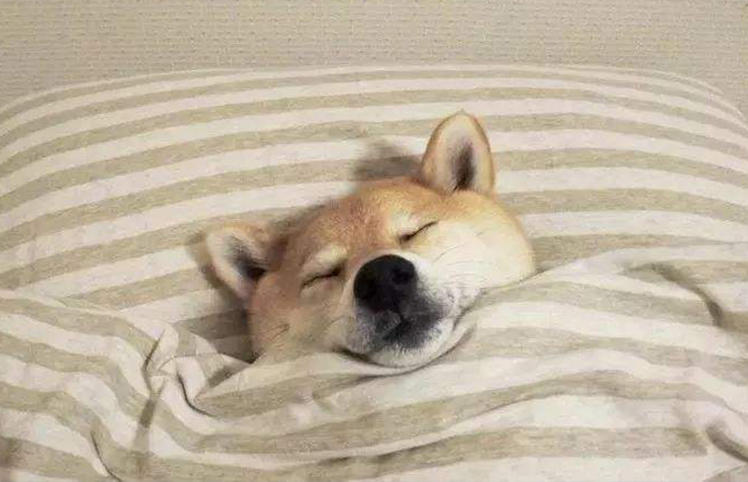 血丝多怎么办,红血丝的原因及解决方法