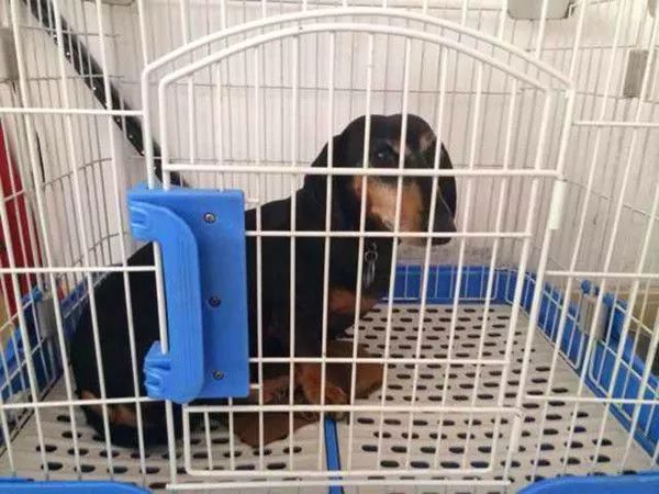 旅游回国千万别带这两种东西,出国旅游禁带物品一览表