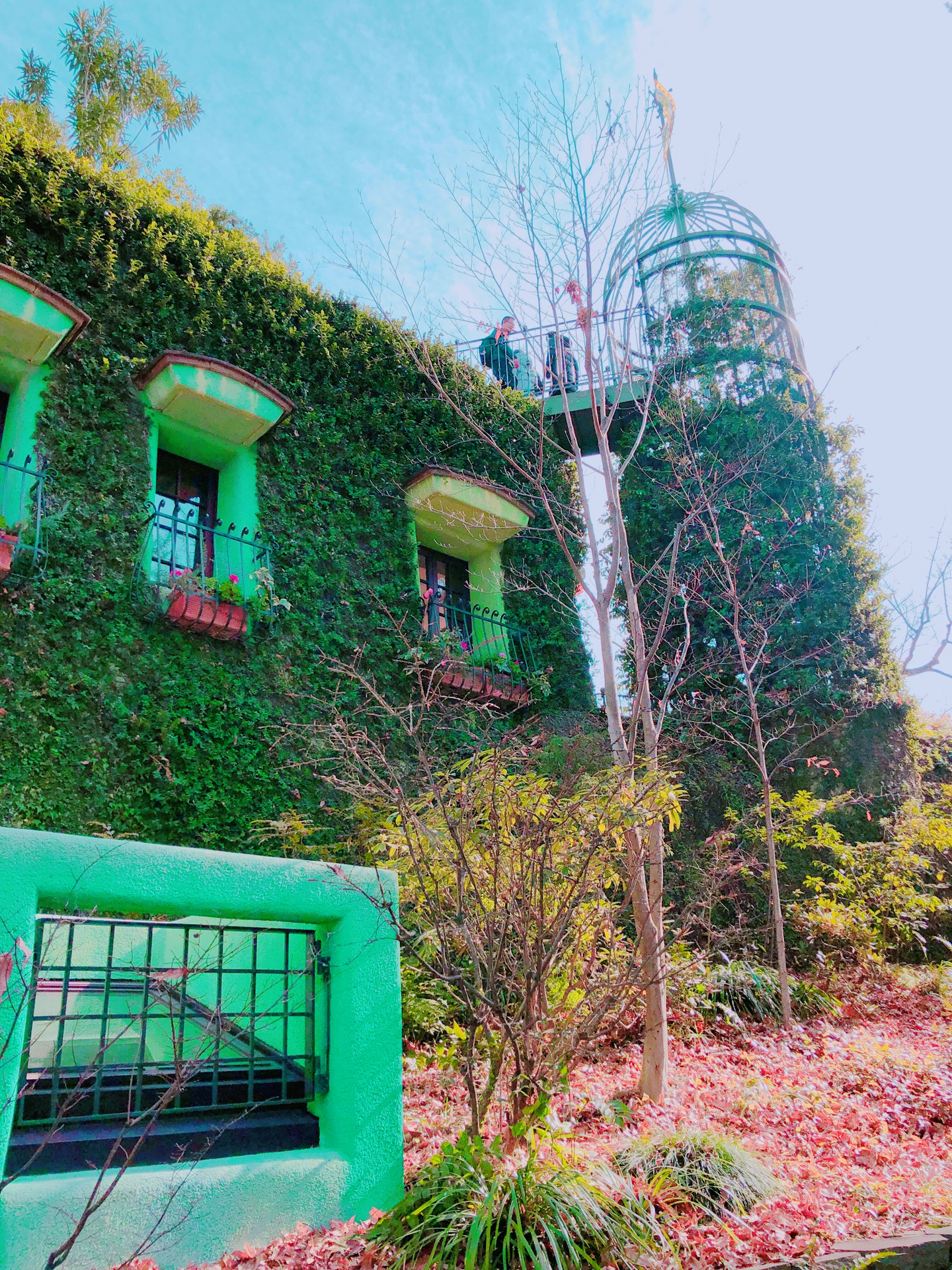 宫崎骏美术馆视频大全,宫崎骏美术馆记录片