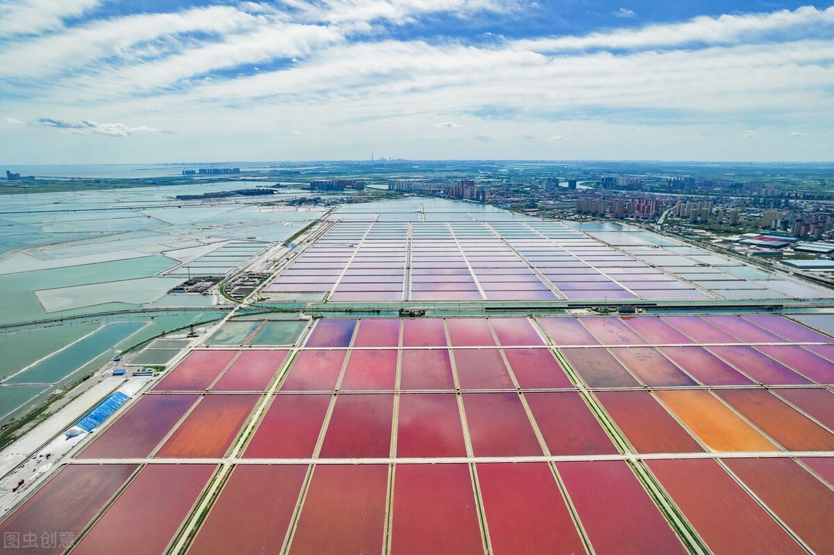 10个关于天津的冷知识你知道几个,天津的冷知识100条