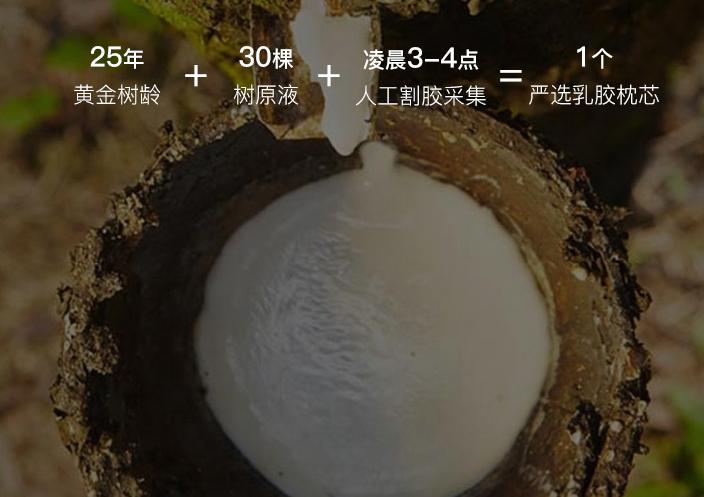 无印良品的天然乳胶枕头价格,无印良品有乳胶枕头授权吗