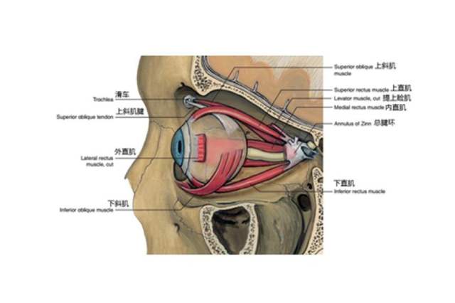 良性病可以做放疗吗？