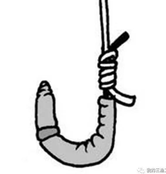 钓黄辣丁怎么挂蚯蚓,串钩挂蚯蚓钓鱼技巧