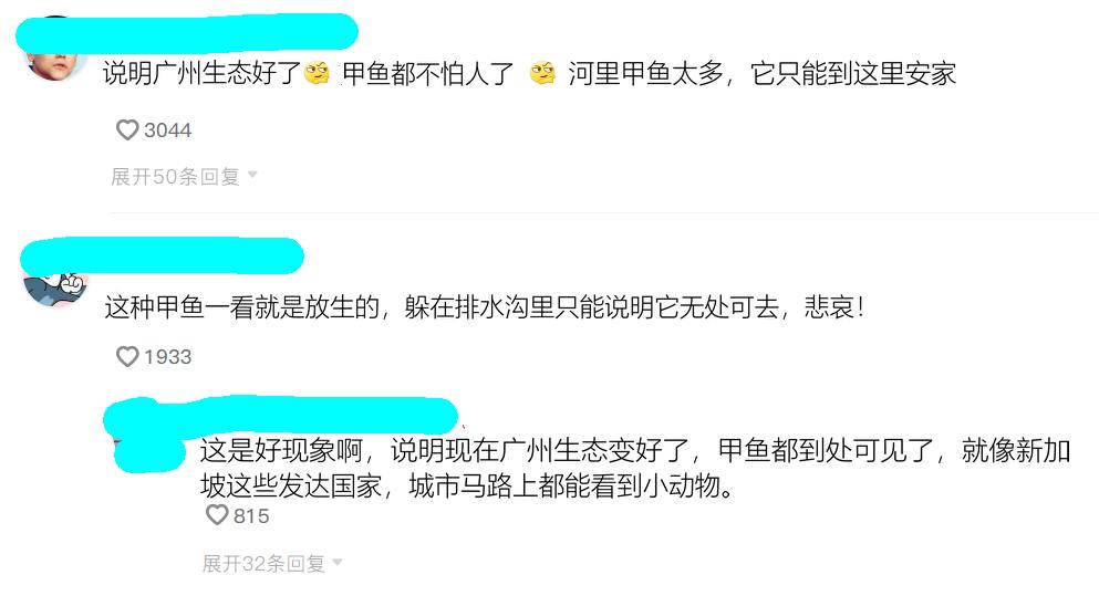 生态稻田大甲鱼,野生甲鱼在哪里栖息