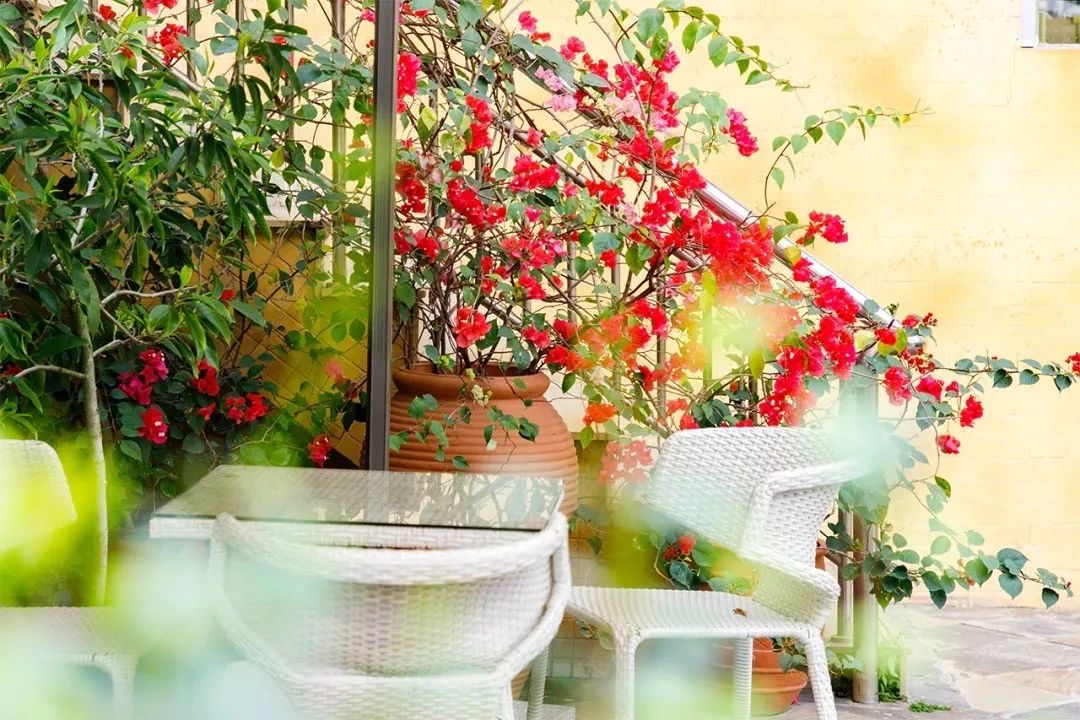 深圳十个小众打卡地,在深圳这些地方既小众又值得打卡