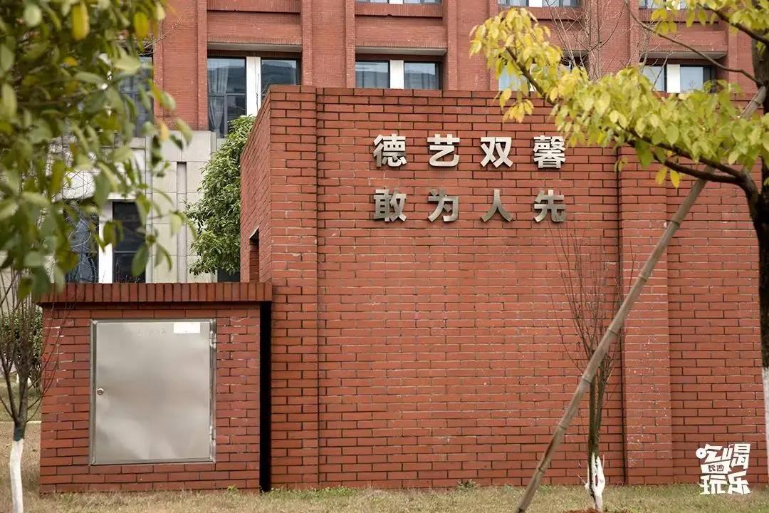 母校我想你,想你母校